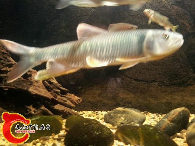 20140207_175959.jpg