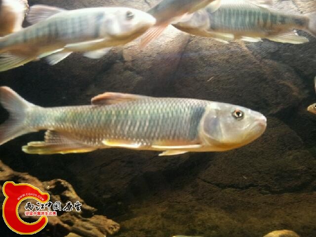 20140207_180143.jpg