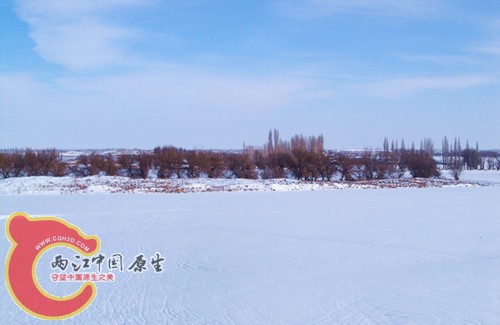 100_5675_副本_副本.jpg