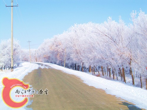 100_5681_副本_副本.jpg