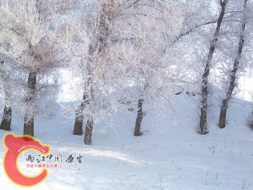 100_5715_副本_副本.jpg