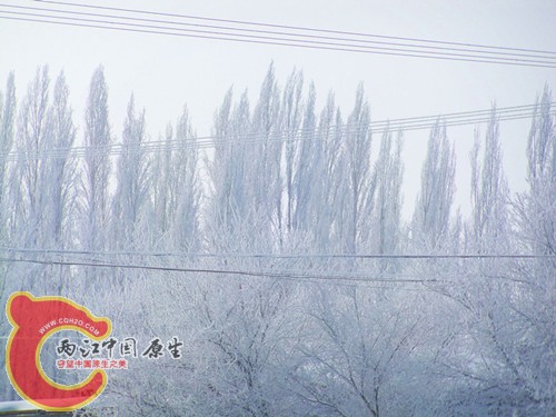 100_5741_副本_副本.jpg