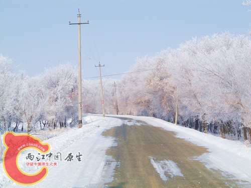100_5742_副本_副本.jpg