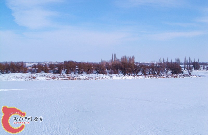 100_5675_副本.jpg