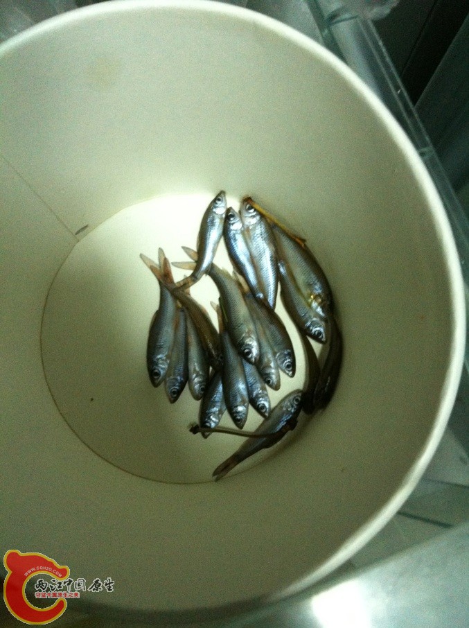 QQ图片20140212201749.jpg