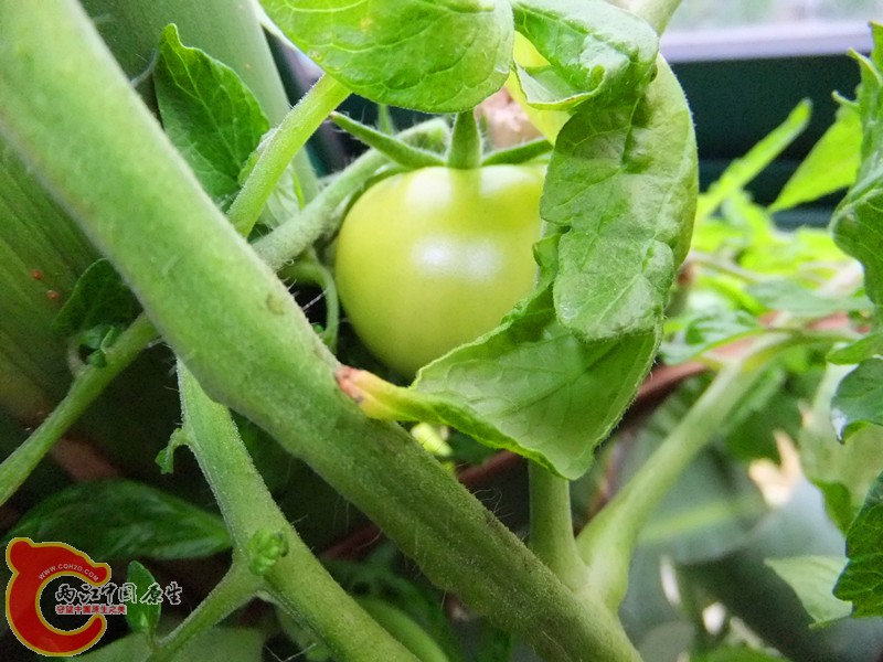 DSCF8373.JPG