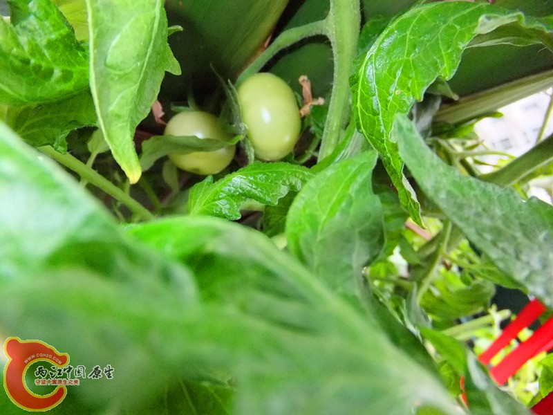 DSCF8369.JPG
