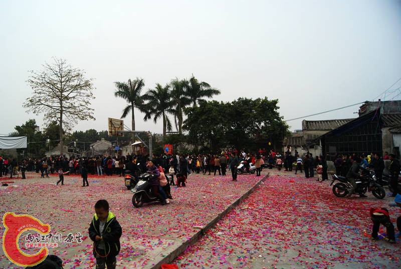 050.jpg