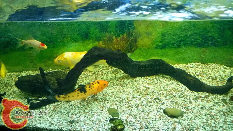 WP_20140220_015.jpg