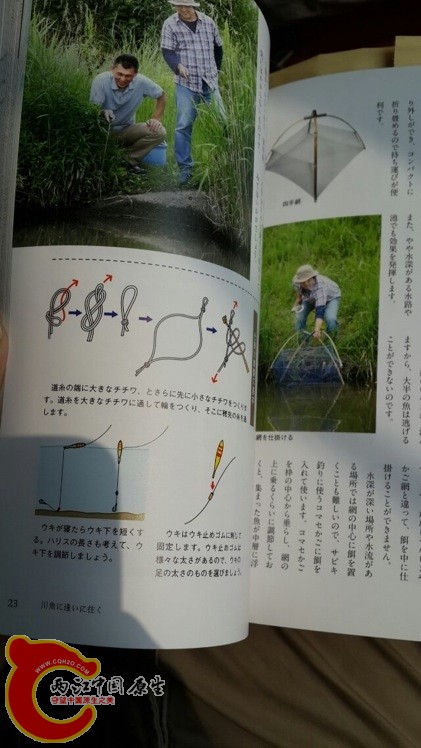 野采方法