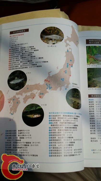 原生鱼的产地分布