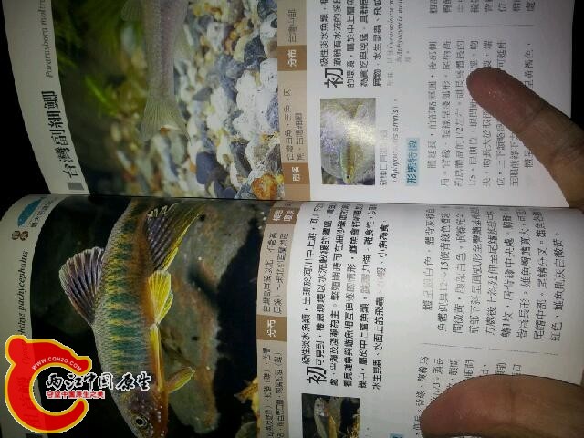 20140224_072400.jpg