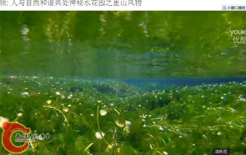 QQ图片20130821130801.jpg