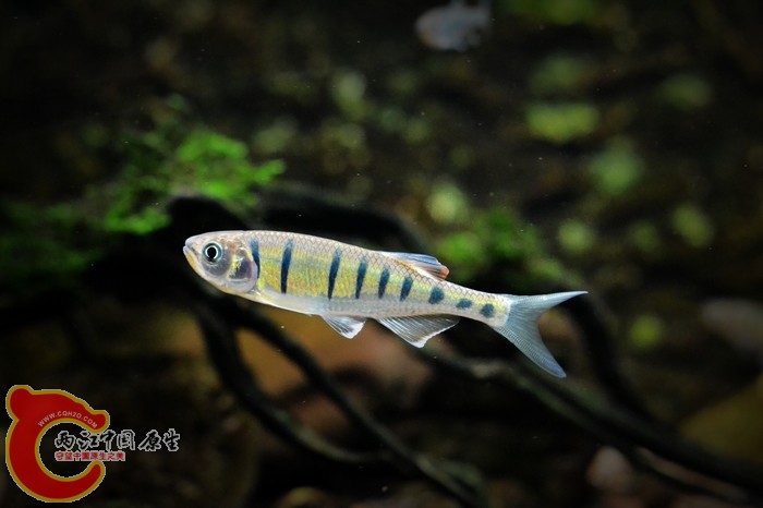 nEO_IMG_DSC_0110_副本.jpg