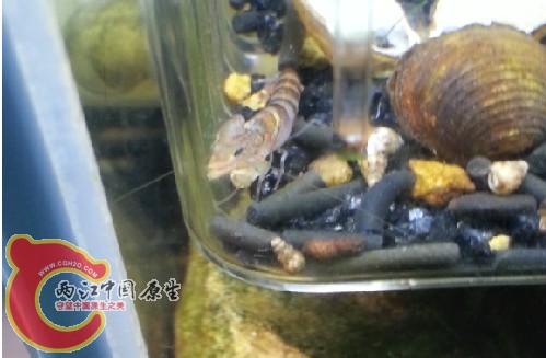 QQ截图20140226195317.jpg
