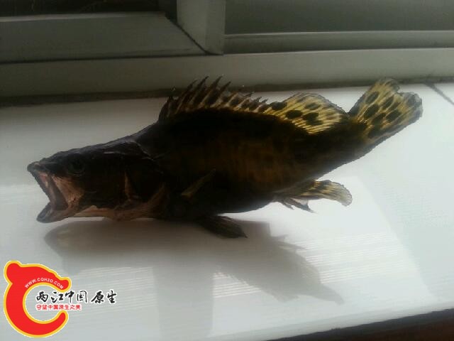 20140223_152435.jpg