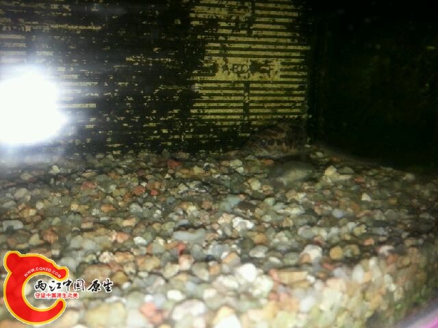 20140227_224335.jpg