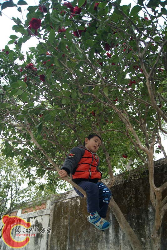 05.jpg
