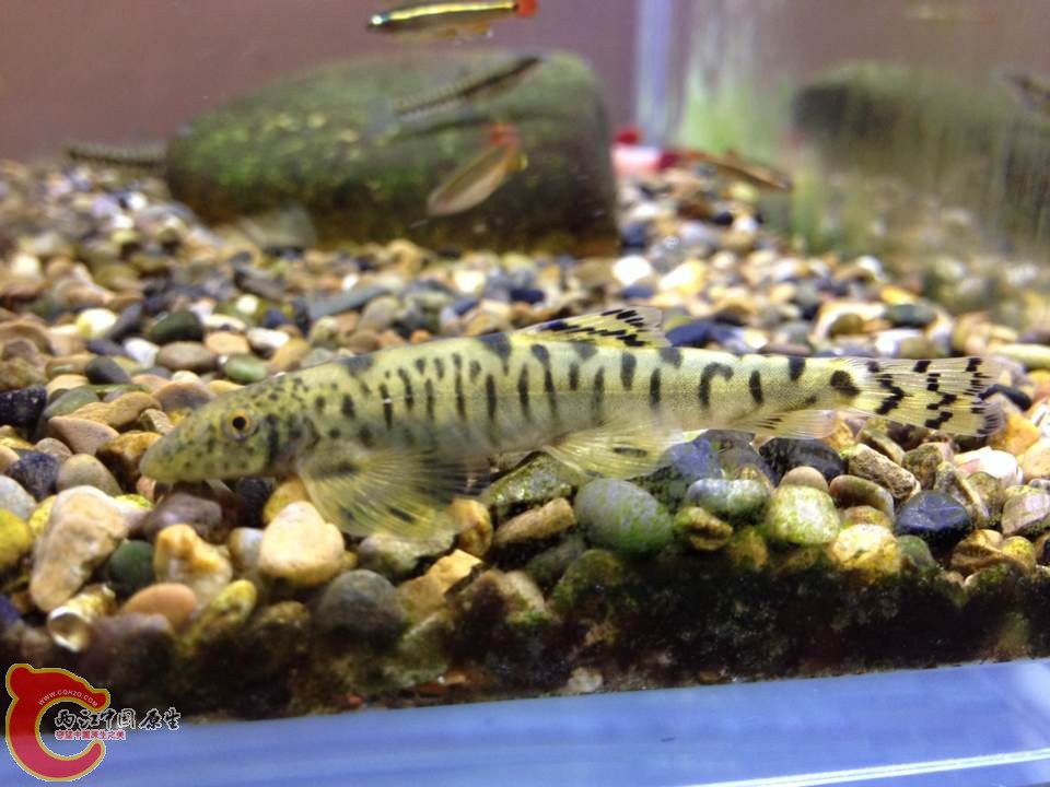 QQ图片20140307143304.jpg