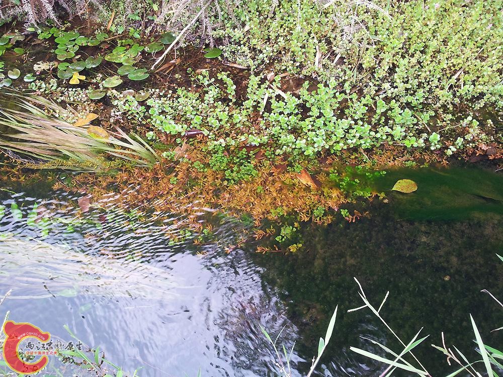20130324_101733.jpg