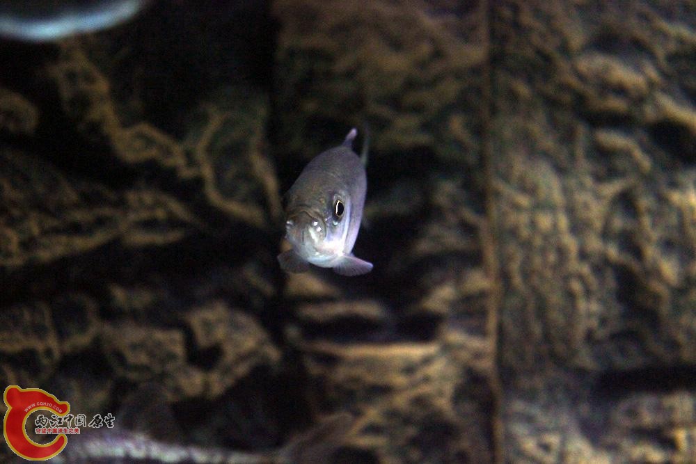 IMG_0378.JPG