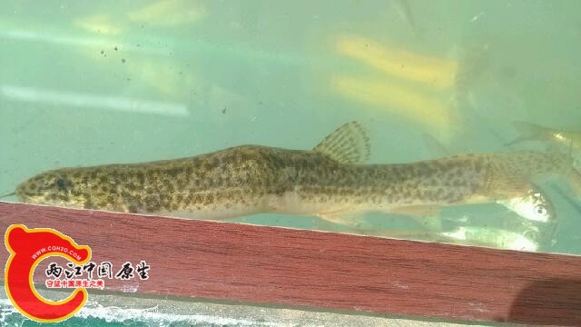 IMG_20140309_102219.jpg
