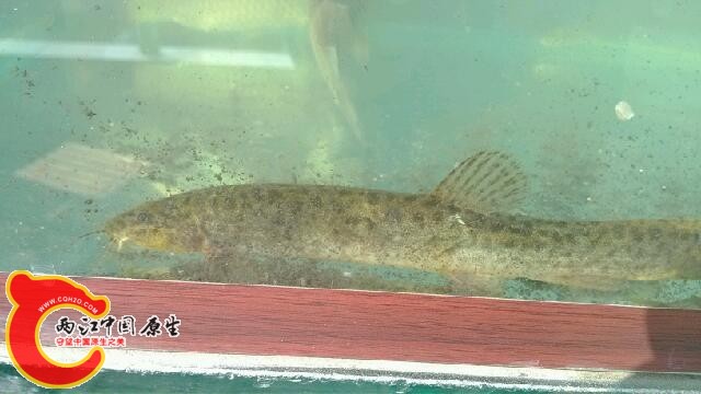 IMG_20140309_102239.jpg