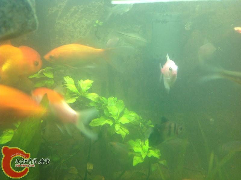 IMG_0744_副本.jpg