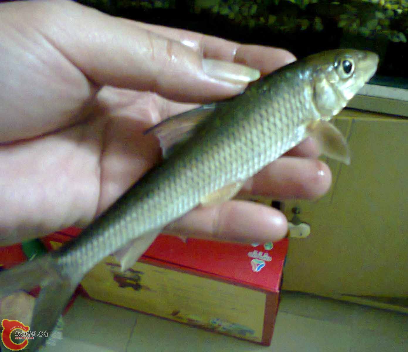 照片0809.jpg