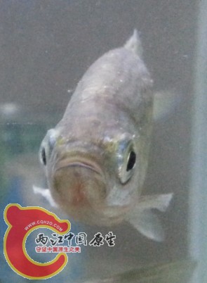 QQ截图20140315214918.jpg