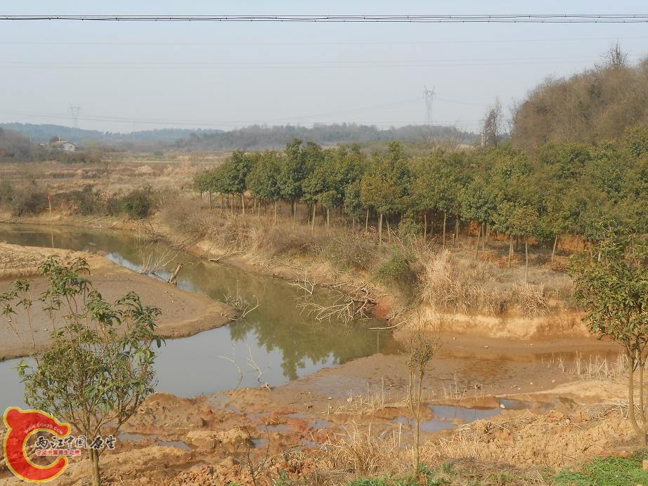 01.JPG