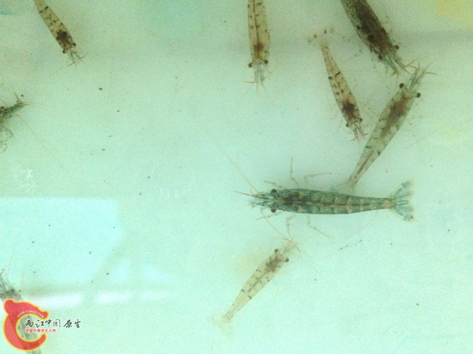 QQ图片20140317191124.jpg