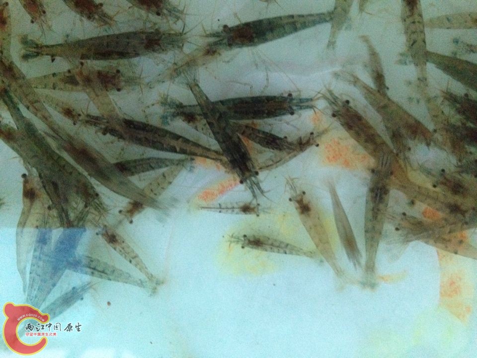 QQ图片20140317191145.jpg