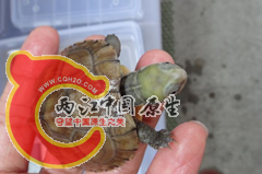 QQ浏览器截屏未命名3.png