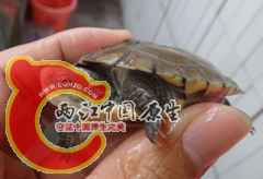 QQ浏览器截屏未命名6.png
