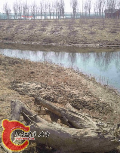 QQ图片20140317221328.jpg