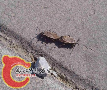 QQ图片20140317221315.jpg