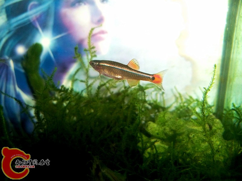 100_8979.JPG