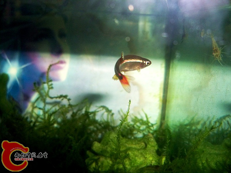 100_9009.JPG