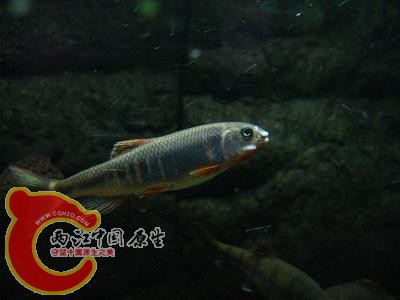 IMG_1557.JPG