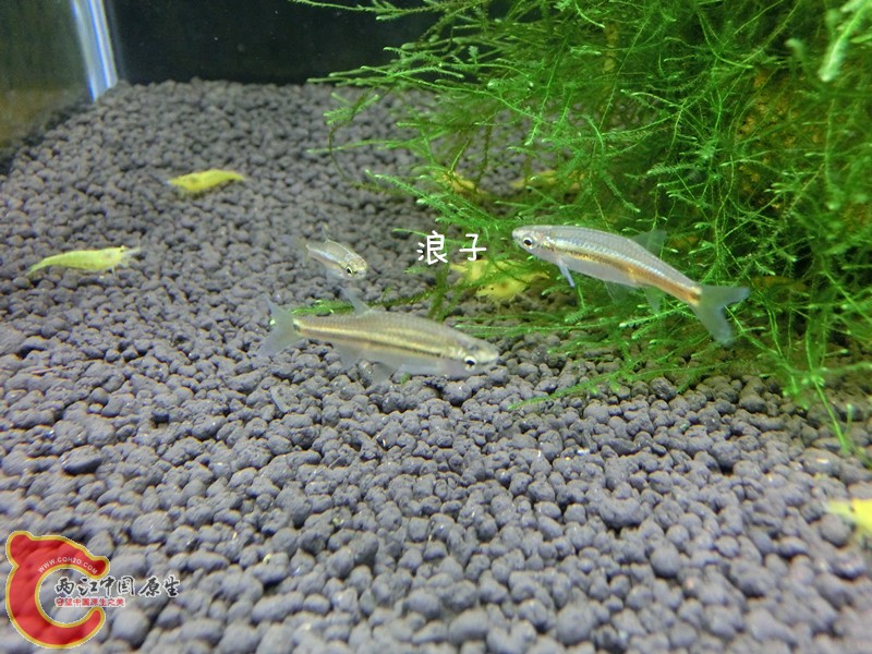 cimg7534_副本.jpg
