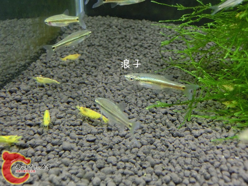 CIMG7574_副本.jpg