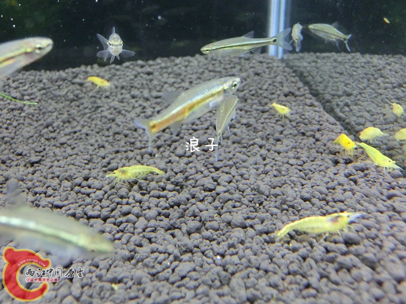 CIMG7560_副本.jpg