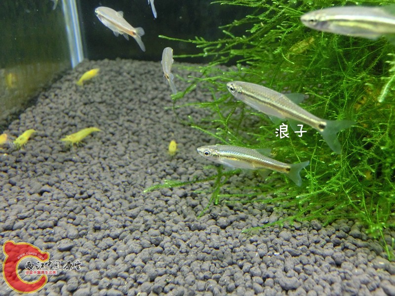 CIMG7548_副本.jpg