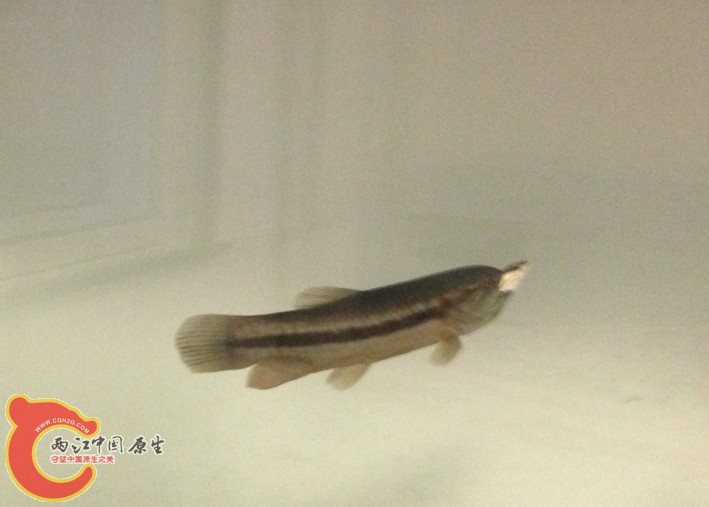 QQ图片20140322200327.jpg