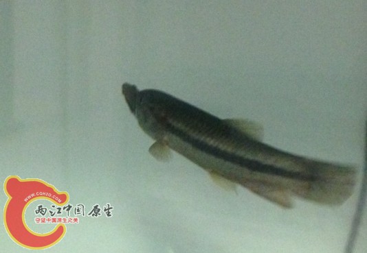 QQ图片20140322200346.jpg