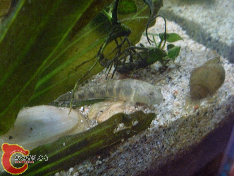 P1020432.JPG