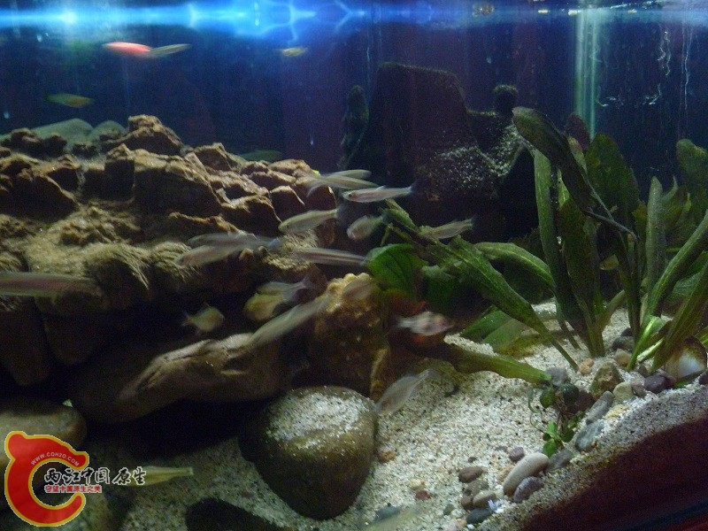 P1020370.JPG