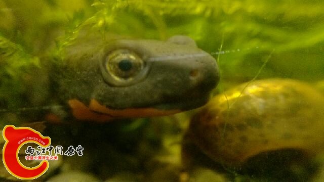 IMG_20140323_174439.jpg