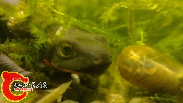 IMG_20140323_174247.jpg